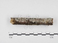 登錄號:F0000538藏品圖，第1張