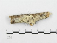 登錄號:F0000539藏品圖，第1張