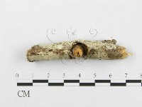 登錄號:F0000539藏品圖，第3張