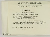 登錄號:F0000540藏品圖，第2張