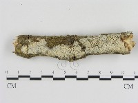 登錄號:F0000540藏品圖，第1張