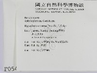 登錄號:F0000541藏品圖，第2張