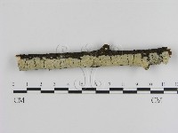 登錄號:F0000541藏品圖，第1張