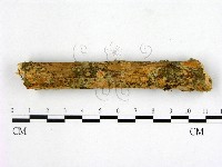 登錄號:F0000542藏品圖，第1張