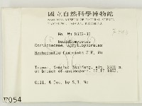 登錄號:F0000543藏品圖，第2張