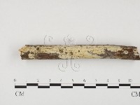 登錄號:F0000543藏品圖，第1張