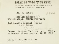 冇骨消絲齒菌藏品圖，第2張