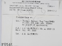 登錄號:F0000545藏品圖，第2張