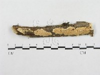 登錄號:F0000545藏品圖，第1張