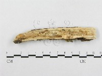 登錄號:F0000545藏品圖，第4張