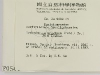 登錄號:F0000546藏品圖，第2張