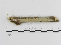 登錄號:F0000546藏品圖，第1張