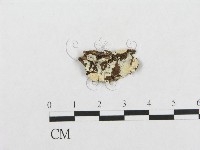 登錄號:F0000547藏品圖，第1張