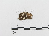 登錄號:F0000547藏品圖，第3張