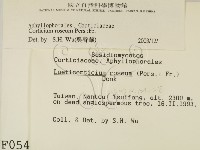 登錄號:F0000548藏品圖，第2張