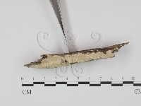 登錄號:F0000548藏品圖，第3張