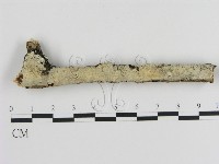 登錄號:F0000549藏品圖，第1張