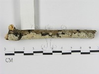 登錄號:F0000549藏品圖，第3張