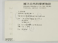 登錄號:F0000551藏品圖，第2張
