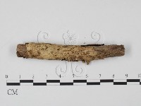 登錄號:F0000551藏品圖，第3張