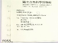 登錄號:F0000552藏品圖，第2張