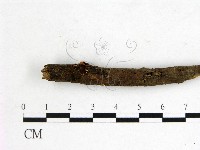 登錄號:F0000552藏品圖，第1張