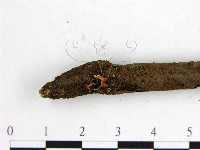 登錄號:F0000552藏品圖，第3張