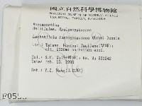 登錄號:F0000553藏品圖，第2張