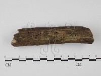 登錄號:F0000553藏品圖，第1張