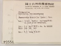 登錄號:F0000554藏品圖，第2張