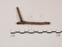 登錄號:F0000554藏品圖，第3張