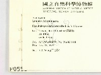 登錄號:F0000555藏品圖，第2張