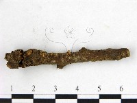 登錄號:F0000555藏品圖，第1張
