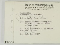 登錄號:F0000556藏品圖，第2張