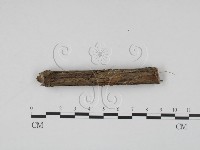 登錄號:F0000556藏品圖，第3張