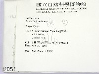館號:F0000557藏品圖，第2張