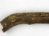 館號:F0000557藏品圖，第3張
