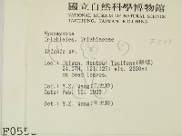 登錄號:F0000558藏品圖，第2張