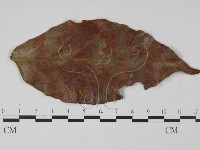 登錄號:F0000558藏品圖，第1張