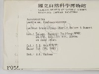 登錄號:F0000559藏品圖，第2張