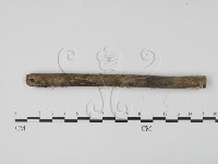 登錄號:F0000559藏品圖，第1張