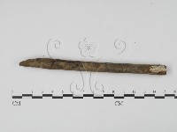 登錄號:F0000559藏品圖，第3張