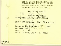 登錄號:F0000560藏品圖，第2張