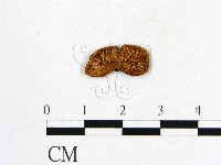 登錄號:F0000560藏品圖，第3張