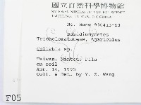 登錄號:F0000562藏品圖，第2張