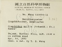 登錄號:F0000563藏品圖，第2張