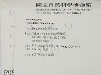 登錄號:F0000564藏品圖，第2張