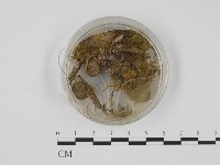 登錄號:F0000566藏品圖，第3張