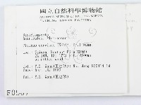 登錄號:F0000567藏品圖，第2張