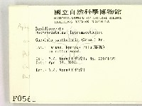 登錄號:F0000568藏品圖，第2張
